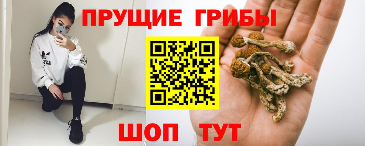 Галлюциногенные грибы Cubensis  Галлюциногенные грибы Cubensis  Выкса  Вход с VPN 